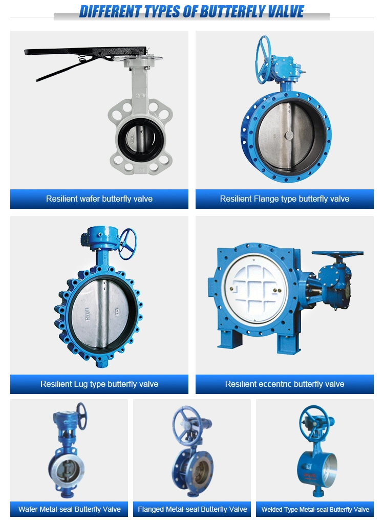Worm Gear Lug Wafer Pn10/Pn16 Ductile Iron/Cast Iron Butterfly Valves